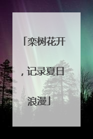 栾树花开，记录夏日浪漫