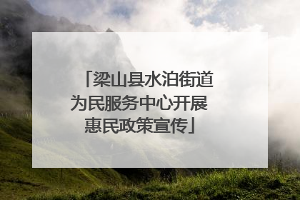梁山县水泊街道为民服务中心开展惠民政策宣传