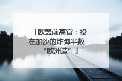 欧盟前高官：投在加沙的炸弹半数“欧洲造”