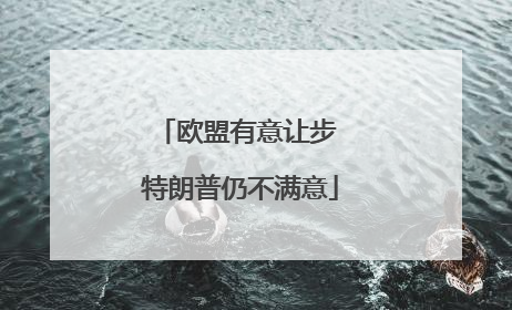 欧盟有意让步 特朗普仍不满意