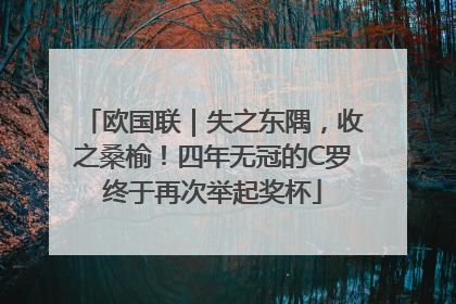 欧国联｜失之东隅，收之桑榆！四年无冠的C罗终于再次举起奖杯