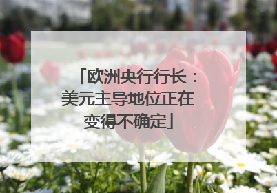 欧洲央行行长：美元主导地位正在变得不确定