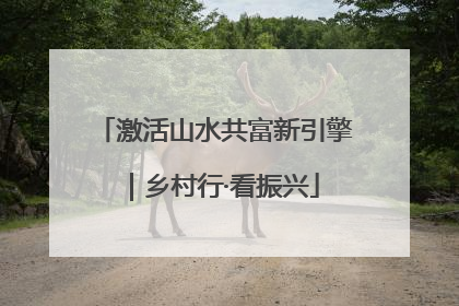 激活山水共富新引擎｜乡村行·看振兴