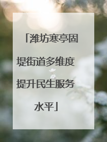 潍坊寒亭固堤街道多维度提升民生服务水平