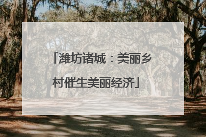 潍坊诸城：美丽乡村催生美丽经济