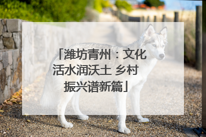 潍坊青州：文化活水润沃土 乡村振兴谱新篇