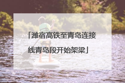 潍宿高铁至青岛连接线青岛段开始架梁