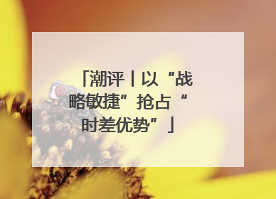 潮评丨以“战略敏捷”抢占“时差优势”