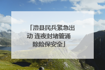 澧县民兵紧急出动 连夜封堵管涌除险保安全