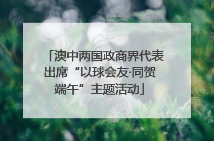 澳中两国政商界代表出席“以球会友·同贺端午”主题活动