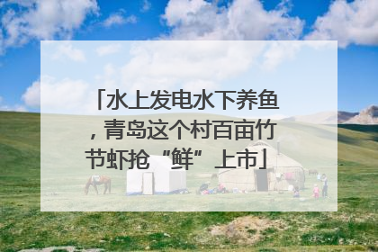 水上发电水下养鱼，青岛这个村百亩竹节虾抢“鲜”上市