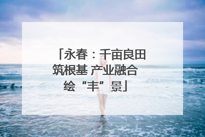 永春：千亩良田筑根基 产业融合绘“丰”景