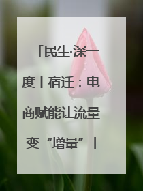 民生·深一度丨宿迁：电商赋能让流量变“增量”