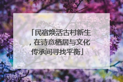 民宿焕活古村新生，在诗意栖居与文化传承间寻找平衡
