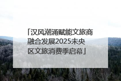 汉风潮涌赋能文旅商融合发展2025未央区文旅消费季启幕