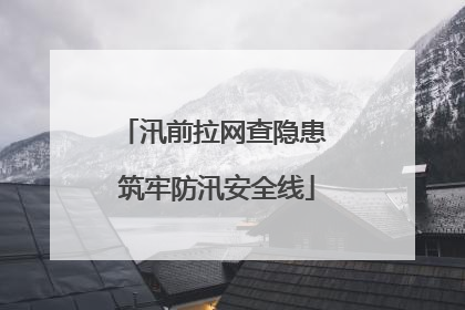 汛前拉网查隐患 筑牢防汛安全线