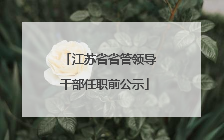 江苏省省管领导干部任职前公示