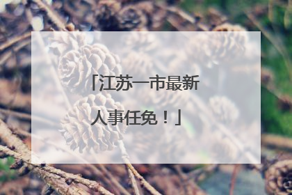 江苏一市最新人事任免！
