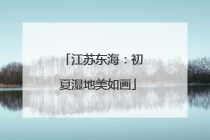 江苏东海：初夏湿地美如画