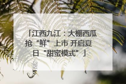 江西九江：大棚西瓜抢“鲜”上市 开启夏日“甜蜜模式”
