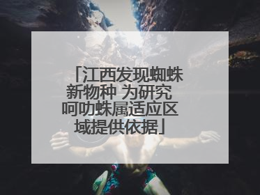 江西发现蜘蛛新物种 为研究呵叻蛛属适应区域提供依据