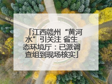 江西赣州“黄河水”引关注 省生态环境厅：已派调查组到现场核实