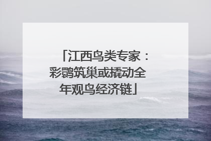 江西鸟类专家：彩鹮筑巢或撬动全年观鸟经济链