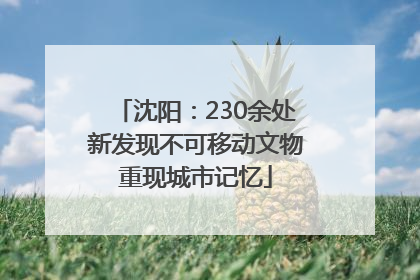 沈阳：230余处新发现不可移动文物重现城市记忆