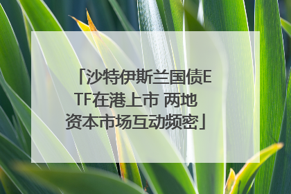 沙特伊斯兰国债ETF在港上市 两地资本市场互动频密