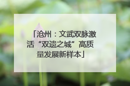 沧州：文武双脉激活“双遗之城”高质量发展新样本