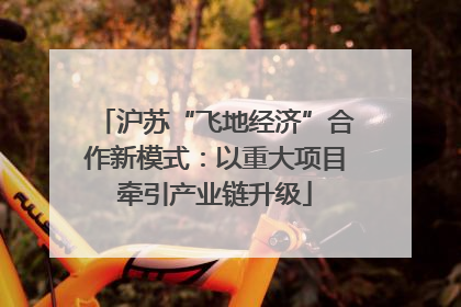 沪苏“飞地经济”合作新模式：以重大项目牵引产业链升级