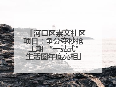 河口区崇文社区项目：争分夺秒抢工期 “一站式”生活圈年底亮相