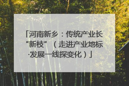 河南新乡：传统产业长“新枝”（走进产业地标·发展一线探变化）