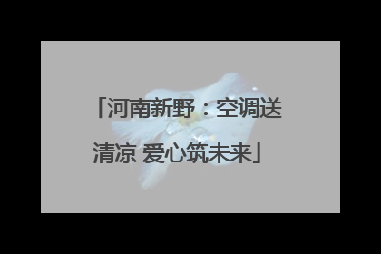 河南新野：空调送清凉 爱心筑未来