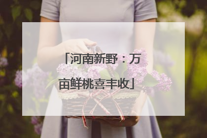 河南新野：万亩鲜桃喜丰收