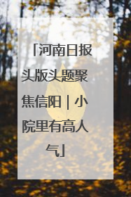 河南日报头版头题聚焦信阳｜小院里有高人气