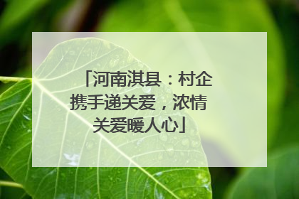 河南淇县：村企携手递关爱，浓情关爱暖人心