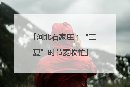 河北石家庄：“三夏”时节麦收忙