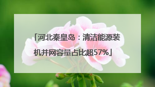 河北秦皇岛：清洁能源装机并网容量占比超57%