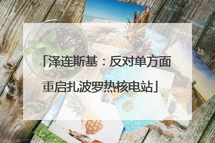 泽连斯基：反对单方面重启扎波罗热核电站