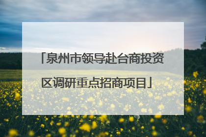 泉州市领导赴台商投资区调研重点招商项目