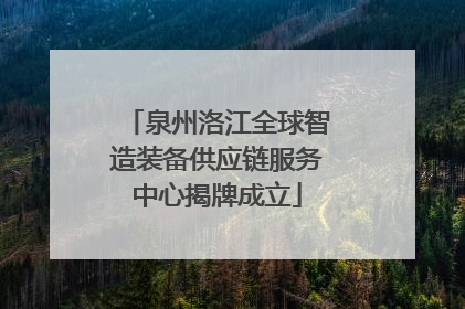 泉州洛江全球智造装备供应链服务中心揭牌成立