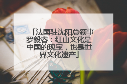 法国驻沈阳总领事罗毅睿：红山文化是中国的瑰宝，也是世界文化遗产