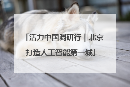 活力中国调研行｜北京打造人工智能第一城