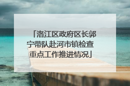 洛江区政府区长郭宁带队赴河市镇检查重点工作推进情况