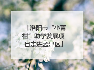 洛阳市“小青柑”助学发展项目走进孟津区
