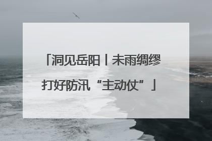 洞见岳阳丨未雨绸缪 打好防汛“主动仗”
