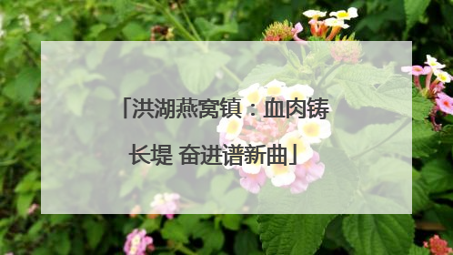 洪湖燕窝镇：血肉铸长堤 奋进谱新曲