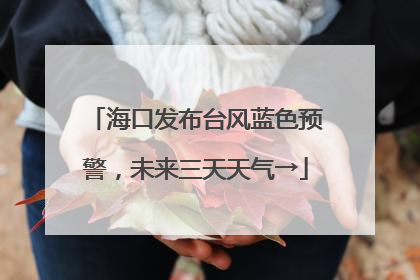海口发布台风蓝色预警，未来三天天气→