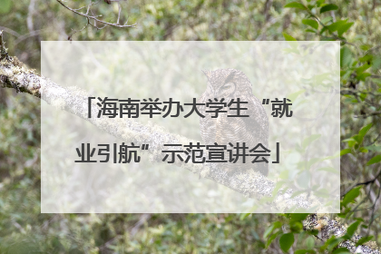 海南举办大学生“就业引航”示范宣讲会